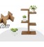 Support pour plantes SANGDA en bois pour bonsaï pot de fleurs étagère de rangement multifonction pour livres cadres 6 pots 34,5 x 20 cm