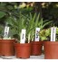WakiHong Lot de 100 étiquettes de couleur pour plantes en plastique