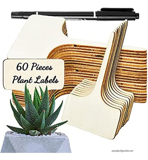 Wendergo Lot de 60 étiquettes pour plantes en bambou avec un marqueur Type T Plante en bois Étiquettes de jardin pour graines herbes en pot fleurs légumes 6 x 10 cm