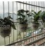 Youlin Support de Pot de Plantes,Fer,avec des Crochets,Rond Balcon Étagère Extérieure Pot de Fleur,pour Maison Garde-Corps De Jardin Noir