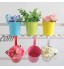 Aiffera Lot de 8 pots de fleurs à suspendre en métal avec crochets amovibles 8 couleurs 15,2 cm