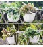 Bzocio Lot de 6 pots de fleurs verticaux à suspendre au mur 21,6 cm Pour plantes fleurs herbes Avec crochet