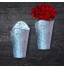 NIRMAN Lot de 2 pots de fleurs muraux rustiques en métal galvanisé Décoration murale à suspendre Pour plantes ou fleurs Pour l'intérieur ou l'extérieur