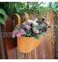 Pot de fleurs à suspendre en métal avec crochet amovible pot de fleurs à suspendre sans trou de drainage pot de fleurs à suspendre au mur pour jardin clôture décoration d'intérieur jaune