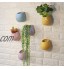 Pots de fleurs à suspendre Porte-plante suspendue en céramique murale avec vêtement de végétale mural à fond de trou de fond pour plantes d'intérieur Succlents Air Plantes Jardinières et paniers susp