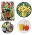 Vase Suspendu Panier à Planter Petit Pot de Fleur Suspendus en Métal Coloré Pot de Fleur Métal Coloré Pots de Fleurs en Métal à Suspendre pour Balcon Jardin Home Decor Jaune Blanc Orange 3 Pièces