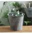 WIVAYE Lot de 6 pots de fleurs en métal à suspendre 10,2 cm style vintage seau en fer pour balustrade clôture balcon avec crochet support de fleurs en métal pour balustrade ou balcon