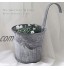 WIVAYE Lot de 6 pots de fleurs en métal à suspendre 10,2 cm style vintage seau en fer pour balustrade clôture balcon avec crochet support de fleurs en métal pour balustrade ou balcon