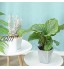 17cm Pots de Plantes avec Plateaux en Plastique Pots de Fleurs d'intérieur avec Soucoupe Multi