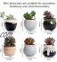 Danolt Mini Pots de Fleurs en Céramique Lot de 6 Pot de Succulent en Céramique Cactus avec Plateau en Bambou Trou de Drainage pour la Décoration de la Maison ou du Bureau