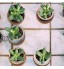 Danolt Mini Pots de Fleurs en Céramique Lot de 6 Pot de Succulent en Céramique Cactus avec Plateau en Bambou Trou de Drainage pour la Décoration de la Maison ou du Bureau