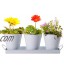 Danolt Pots de Plantes Suspendus en Métal 3 Pièces Mini Métal Pots de Fleurs avec Plateau Iron Hanging Flower Pot pour Jardin de Balcon de Rebord de Fenêtre de Ferme