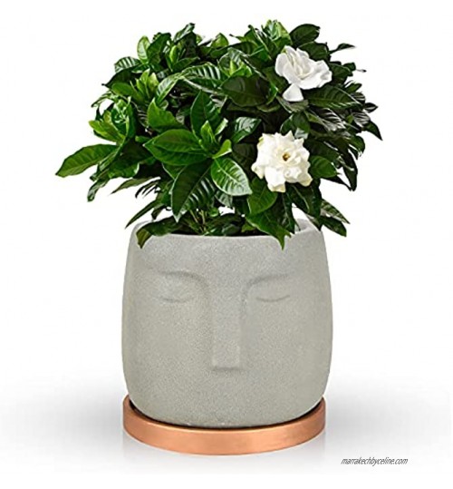 FORMIZON Pots Succulents Pot de Fleur en Céramique avec Plateau Céramique Succulent Pots pour Salon Mariage Cuisine ou Bureau et Décor à la Maison Gris