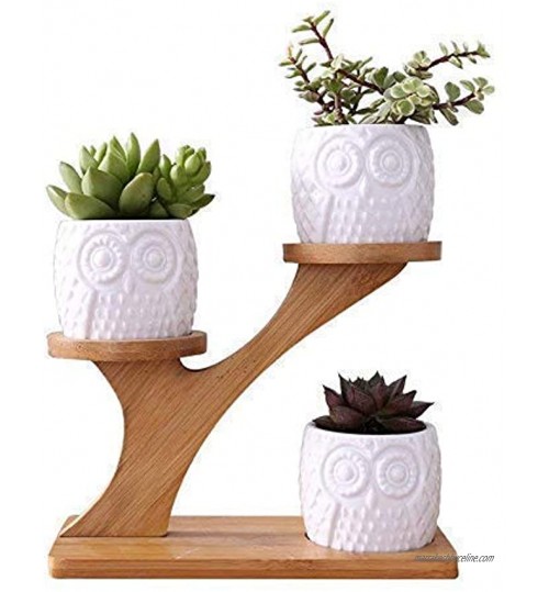 LINGLAN 1 Ensemble de chouette en céramique Pots Pot de Fleur en Céramique de Forme Rond  et Plateau de Bambou Pots de Cactus Plante en Pot Cultiver 1 Paquet de 3