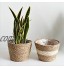 Meiyum Panier de jardinière en jonc de mer pour intérieur et extérieur cache-pots pour plantes de jardin kaki 25 cm
