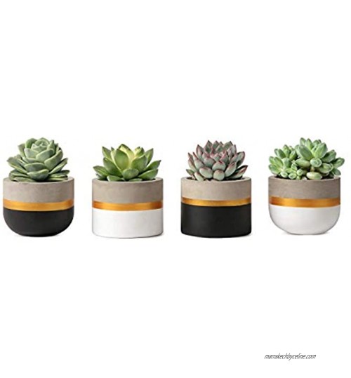 Mkouo 8cm Mini Ciment Succulent Plantes Moderne Concrete Cactus Pots de Plantes Small Clay Intérieur Herb Window Box Container for Home and Office Decor Set of 4
