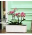 PAEFIU Pot de fleurs rectangulaire en plastique Auto-Irrigation 40 * 13cm Pot avec Réserve d'eau et Indicateur de Niveau d'eau Pot avec Système d'arrosage pour Planter Les Plantes Facilement Blanc