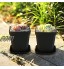 Plante Pots 7 x 7 x 8 cm 20 Pcs Semis en Plastique Pots de Fleurs avec Soucoupe Pots de Plantes carrés épais en Plastique 20 7 x 7 x 8