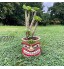 Pot de fleurs Tiki totem succulent ornements en résine pots de fleurs décorations de jardinage