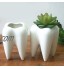 ProLeo Lot de 3 pots de fleurs en céramique à dents pour plantes succulentes Cactus Pot à crayons Pot à crayons Pot pour bureau Décoration blanc