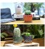 Shinowa [Lot de 4 Pot de Fleurs en Céramique Mini Pots de Plante Décoratifs Motif d'Écailles en Couleurs avec Plateau en Bambou Trou de Drainage pour Intérieur Maison Chambre Bureau Jardin,Coloré