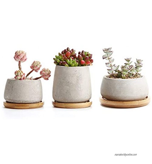 T4U Pots de Succulent Cactus en Ciment avec Plateau en Bambou Série Pots de Fleurs Jardinières Conteneurs Boîtes de Fenêtre Paquet de 3 Cadeau pour Famille Amis