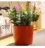 Yardwe Pot de Fleurs Ronde à Arrosage Automatique avec Indicateur d'eau Jardinière en Plastique pour Intérieur ou extérieur Orange