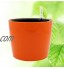 Yardwe Pot de Fleurs Ronde à Arrosage Automatique avec Indicateur d'eau Jardinière en Plastique pour Intérieur ou extérieur Orange