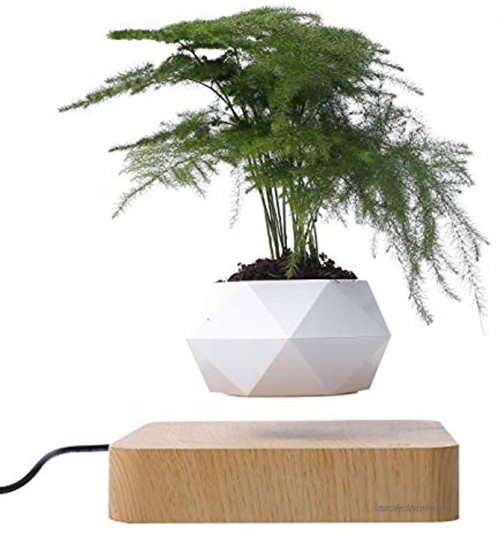 YSISLY Pot de bonsaïs à air en lévitation Pot de Fleur à lévitation magnétique Décor Suspension planteurs Rotation Automatique 360 degrés pour Le Bureau Domicile N'inclut Pas Les Plantes Bois